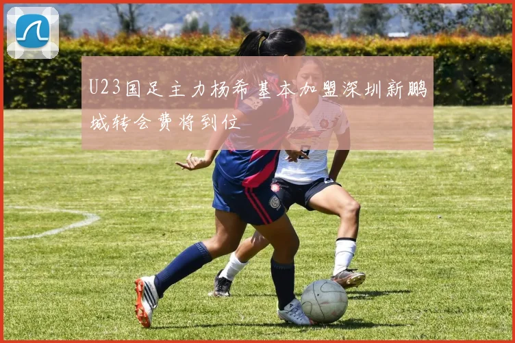 U23国足主力杨希基本加盟深圳新鹏城转会费将到位