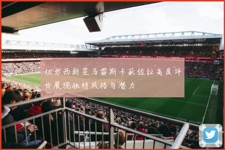 切尔西新星马雷斯卡获佐拉高度评价展现独特风格与潜力